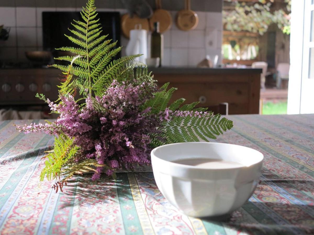 Les Jardins D'Atyoula Losse Esterno foto